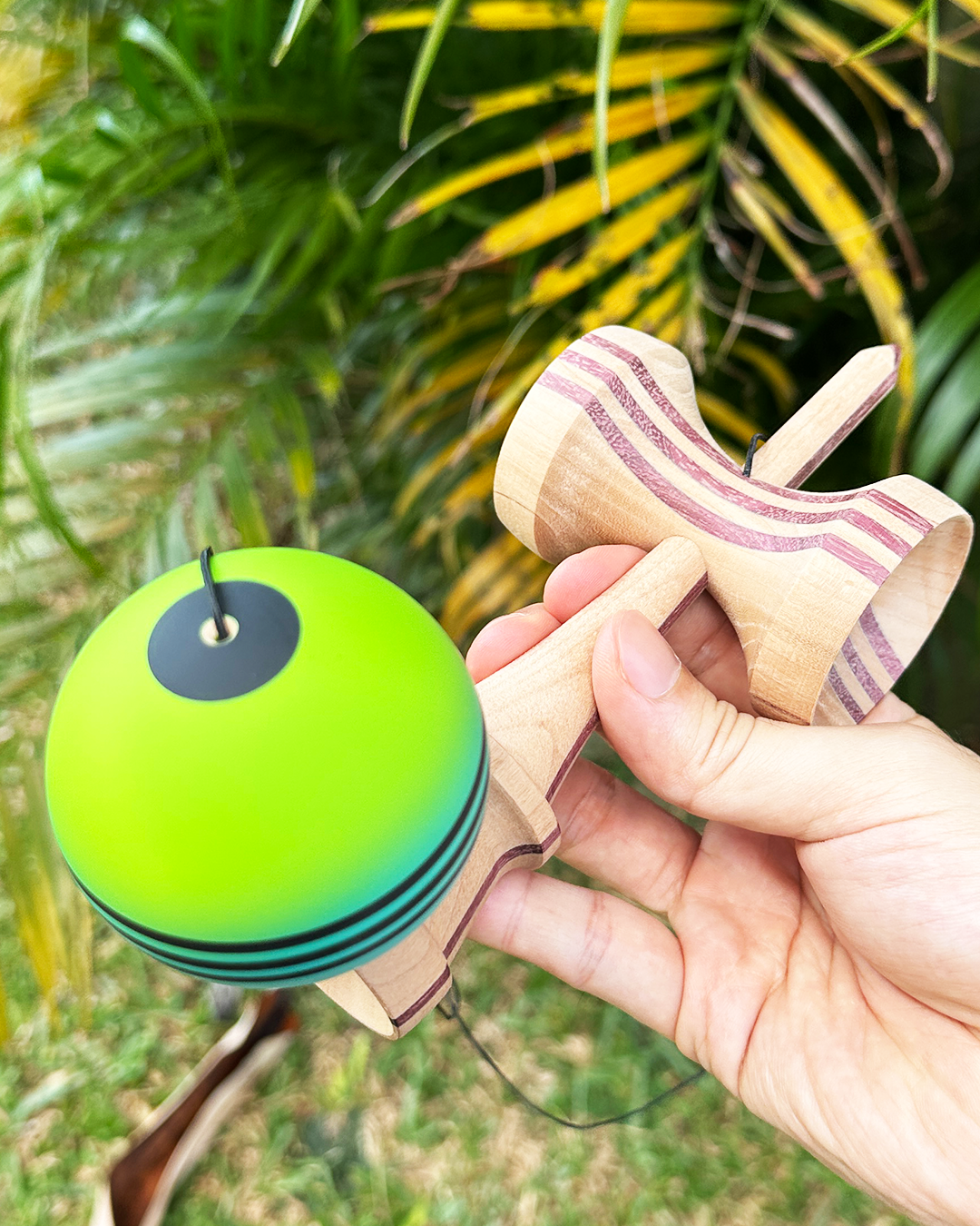 Black Valley - Hybrid 2O4 Shape