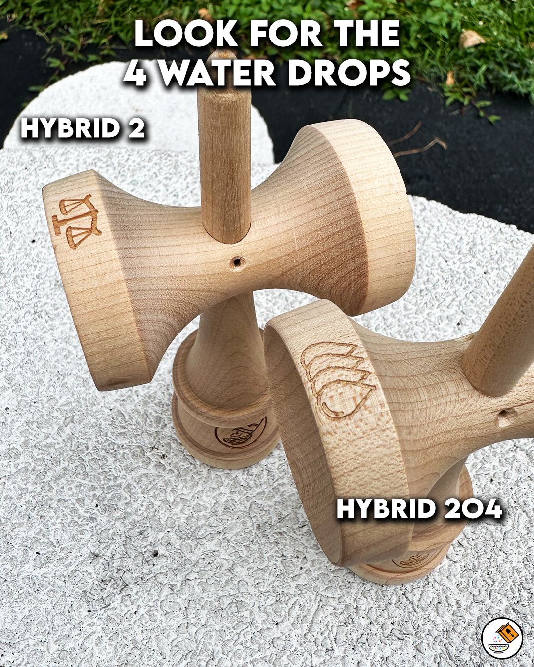 Maple Hybrid 2O4 Ken Only