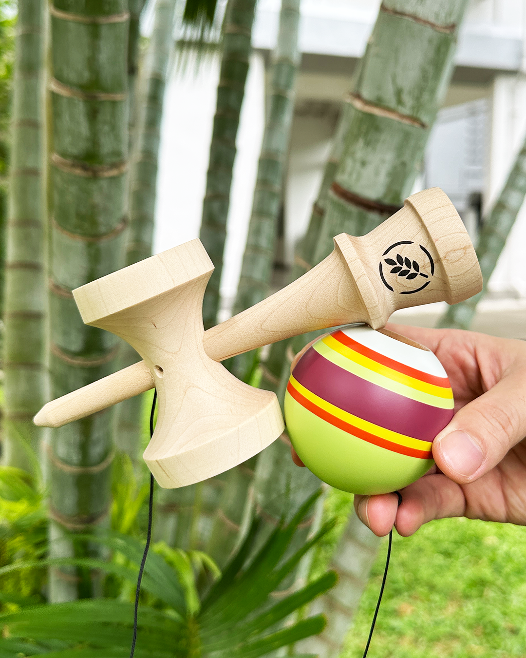 2 or 4 Kendama Pack - Autumn Series