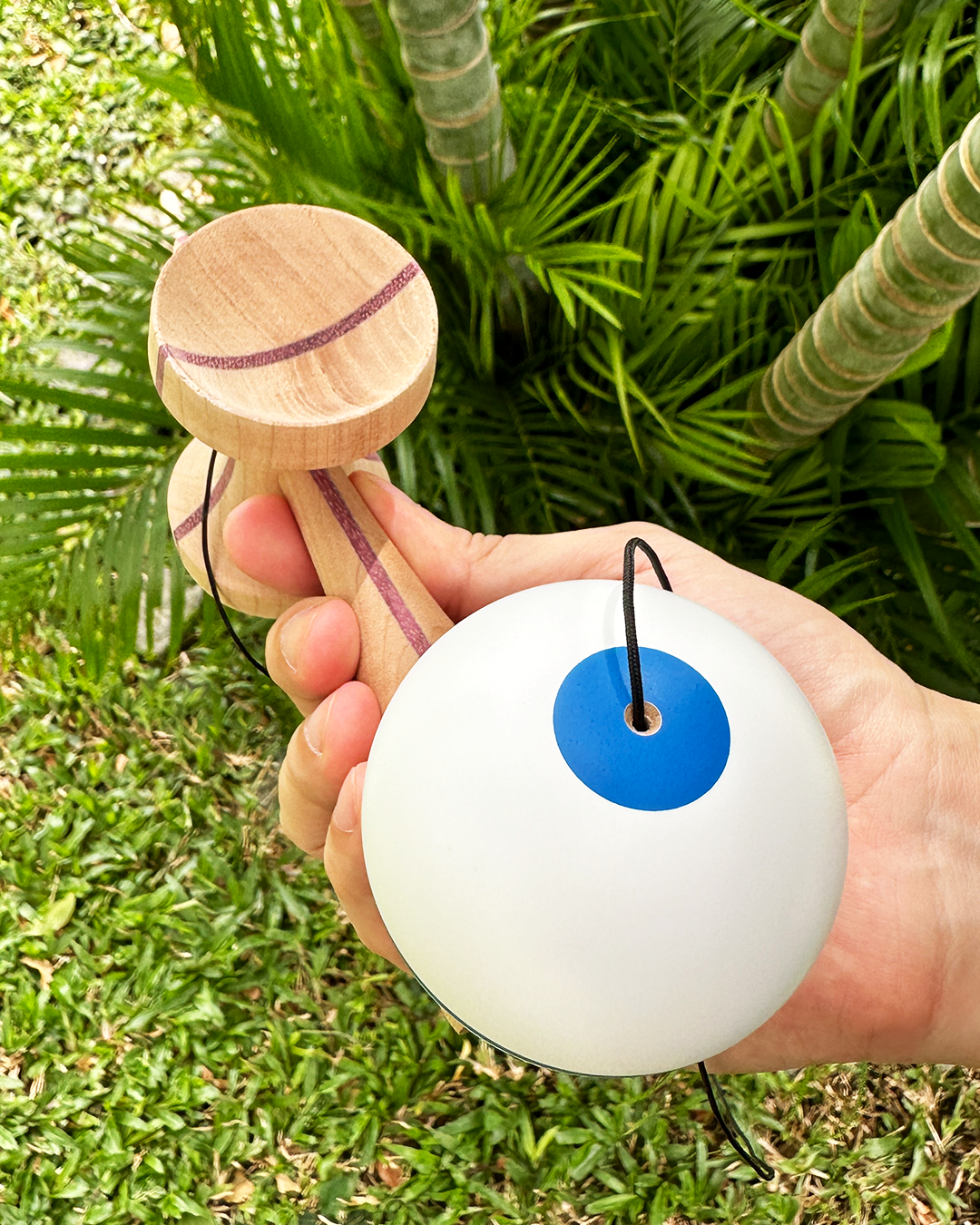 2 or 4 Kendama Pack - Winter Series