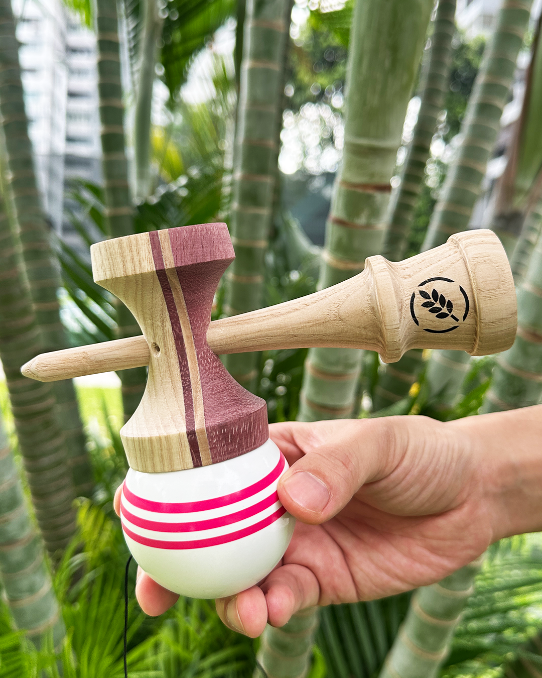 2 or 4 Kendama Pack - Winter Series