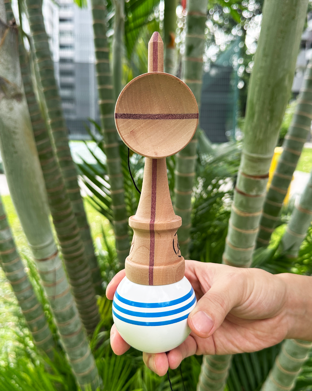 2 or 4 Kendama Pack - Winter Series