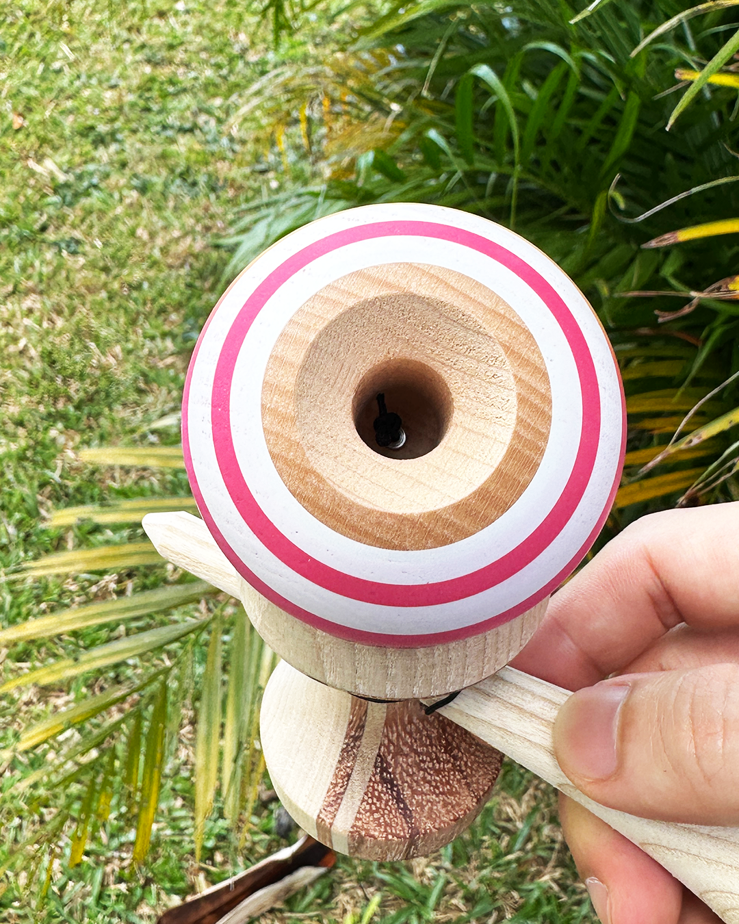 Bulbasaur - Hybrid 2o4 Shape